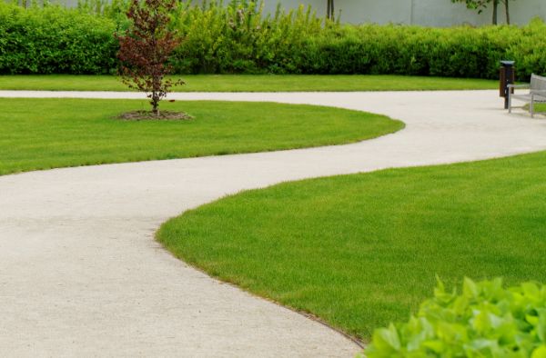 Walkway Repair in Springfield